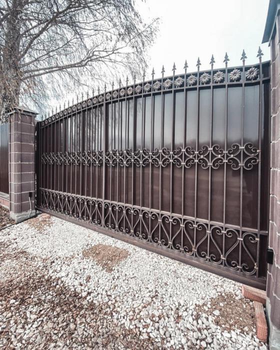 Металлические ворота в Кривом Роге - изображениe 2