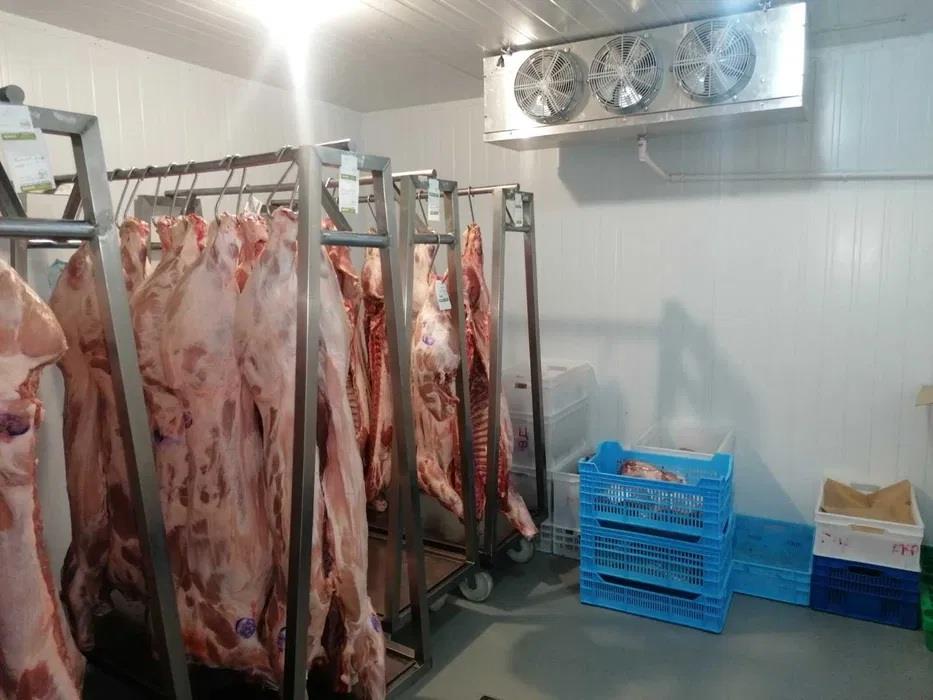 Морозильна камера - Шокова заморозка ковбас мяса сирів  Під ключ - изображениe 2