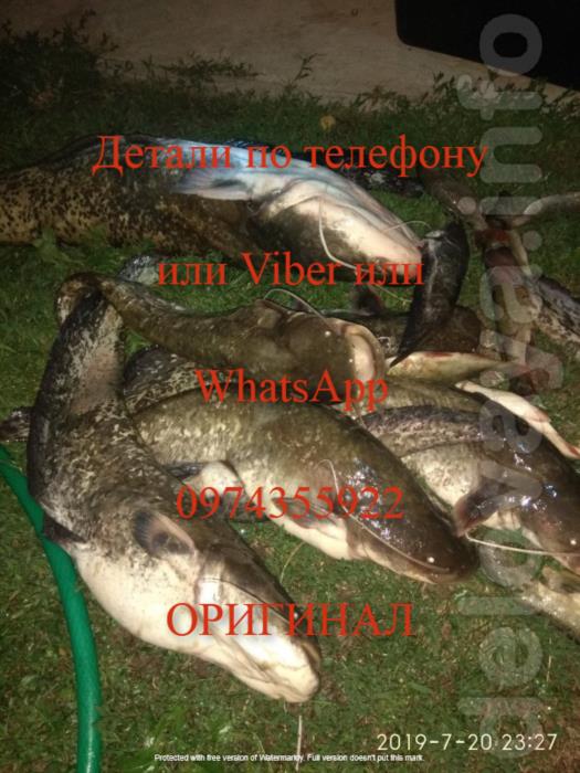 Sаmus 1000 Riсh P 2000 Riсh AC 5 - изображениe 12