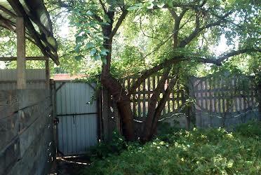 Продам участок 6 сот в Осокорках 35км від метро Славутич Київ - изображениe 11