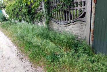 Продам участок 6 сот в Осокорках 35км від метро Славутич Київ - изображениe 14