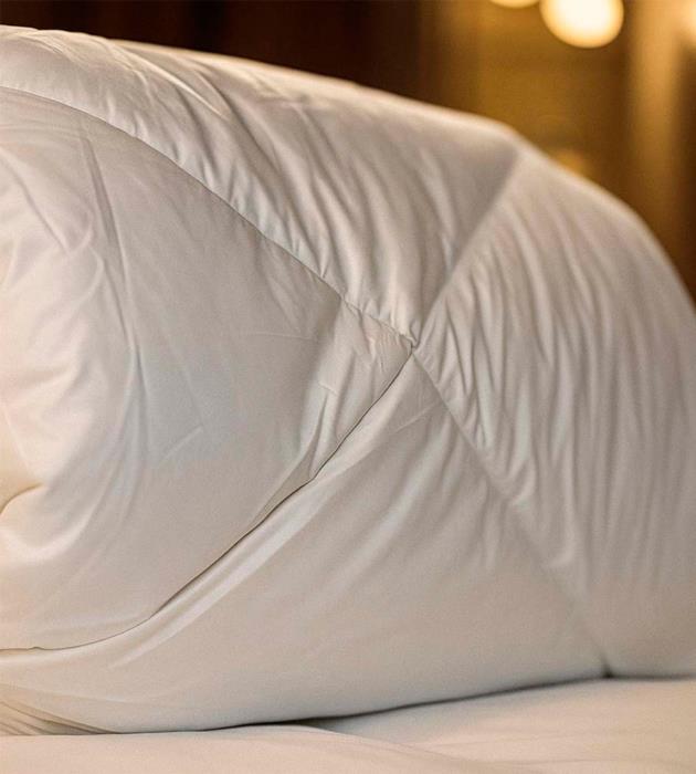 Элитное одеяло Deluxe Лебединый пух от украинского бренда Bedlen Home - изображениe 2