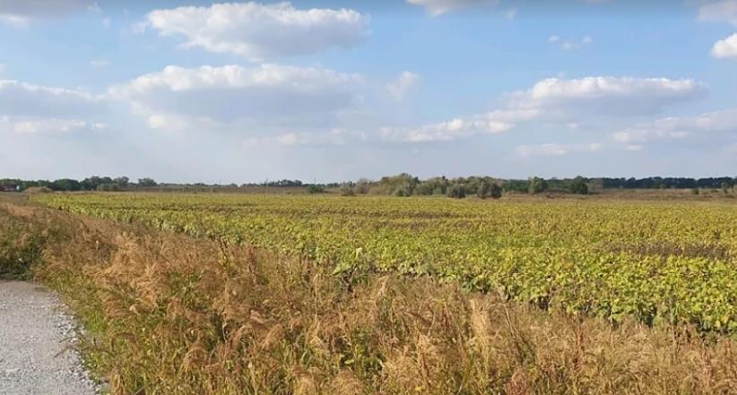 Продам земельный участок под строительство АЗС или придорожного комплекса - изображениe 2