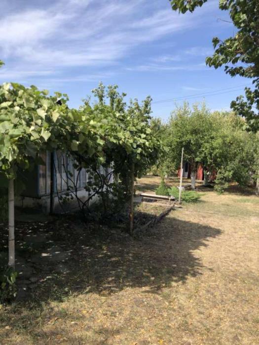 Продам дачу  Валківський район - изображениe 3